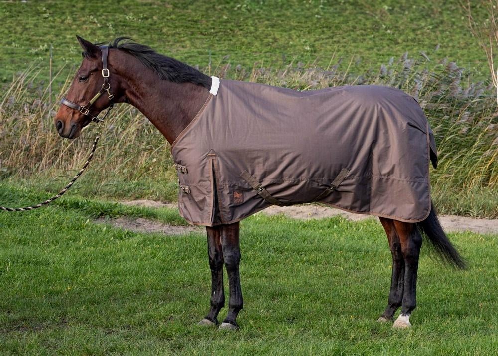 Harry's Horse Regendeken Thor, 200 grams vulling, maat 195, Full (L), 0 g, Nieuw, Kruissingels