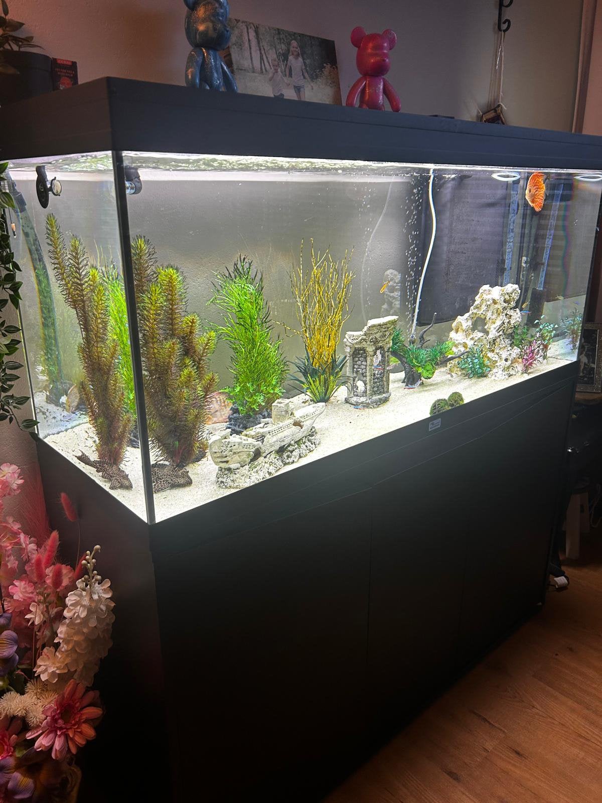 Aquatlantis aquarium 240L, Dieren en Toebehoren, Vissen | Aquaria en Toebehoren, Ophalen, Zo goed als nieuw, Leeg aquarium