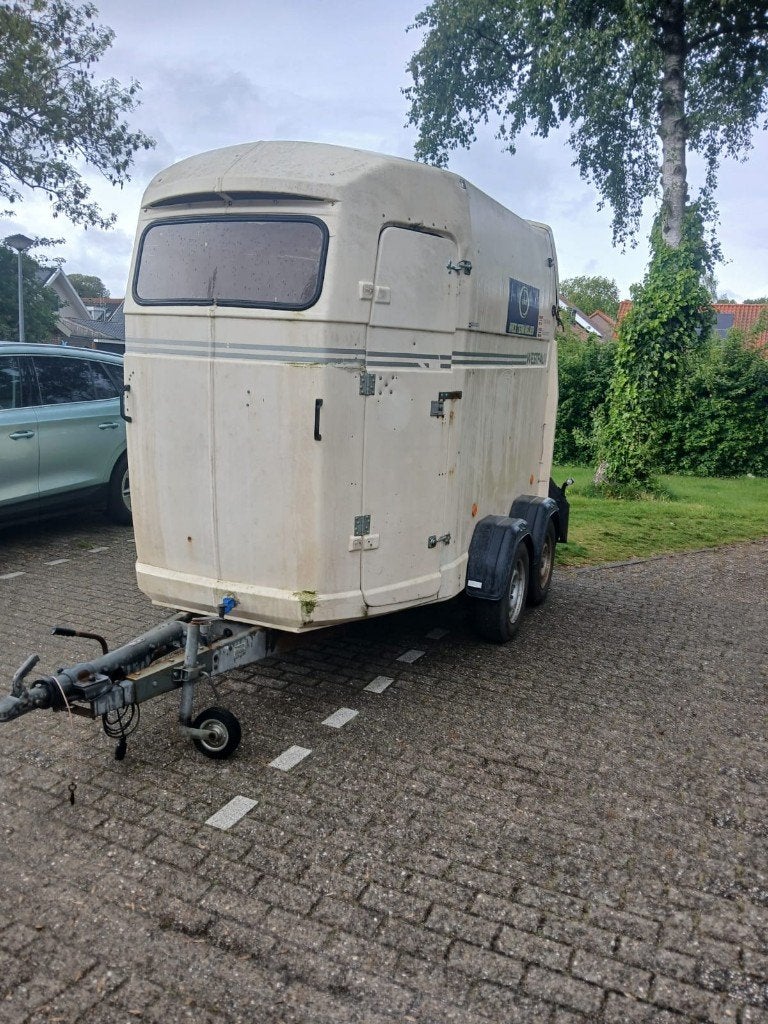 paarde trailer of schapen kar met kenteken, Meerdere dieren, Schaap, 6 jaar of ouder