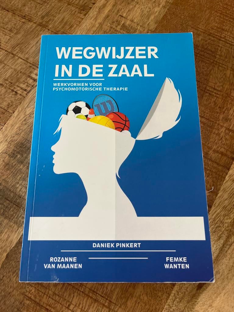 Wegwijzer in de Zaal - Werkvormen Psychomotorische Therapie, Boeken, Studieboeken en Cursussen, Ophalen of Verzenden, Gamma, Zo goed als nieuw