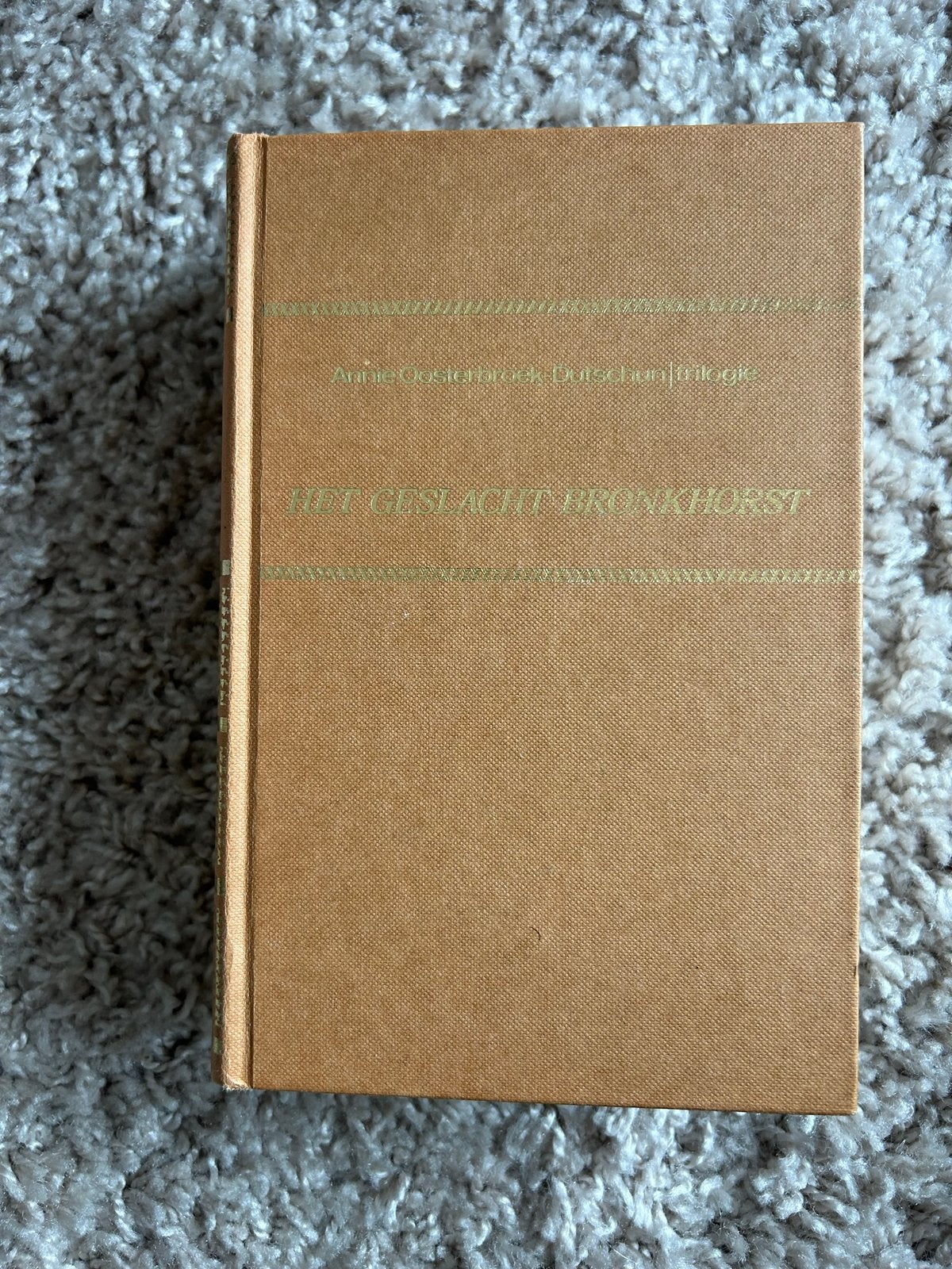 Het geslacht Bronkhorst - Annie Oosterbroek-Dutschun, Boeken, Ophalen of Verzenden, Gelezen, Nederland