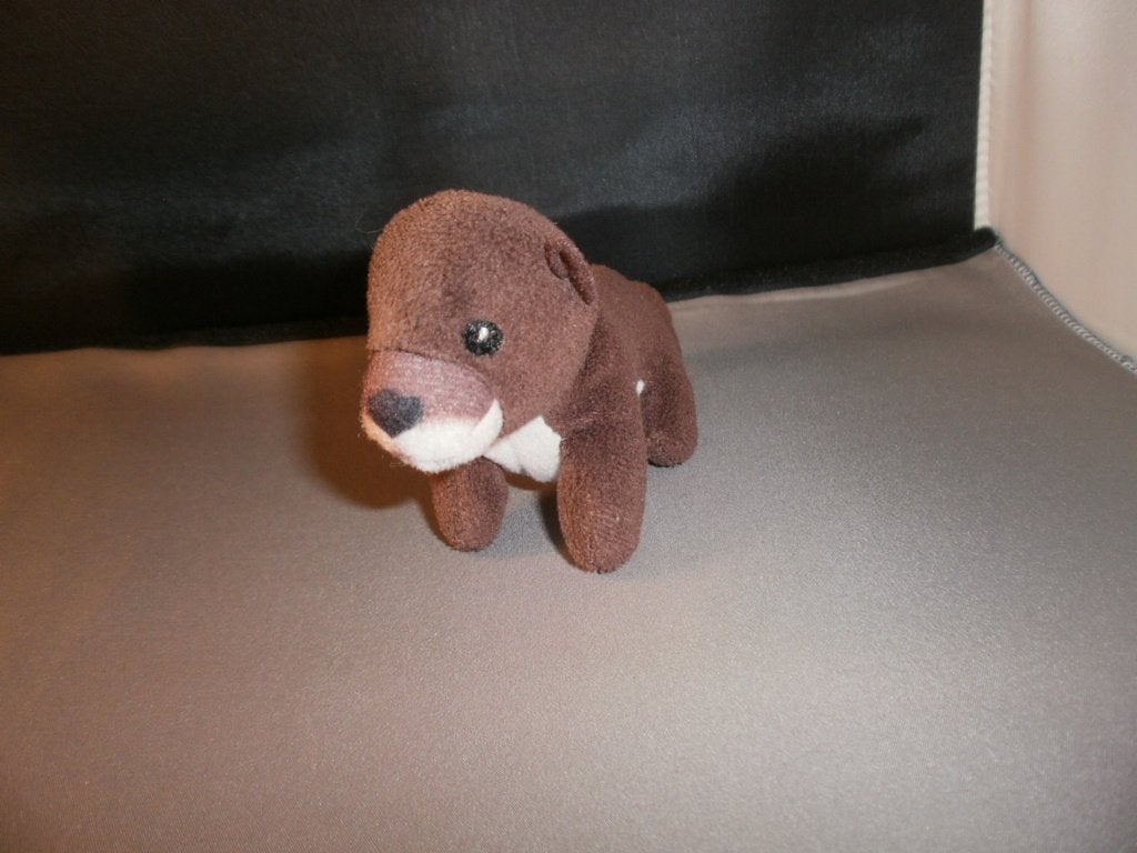 McDonald's national geographic otter bruin crème 14 cm, Overige merken, Overige karakters, Overige typen, Nieuw