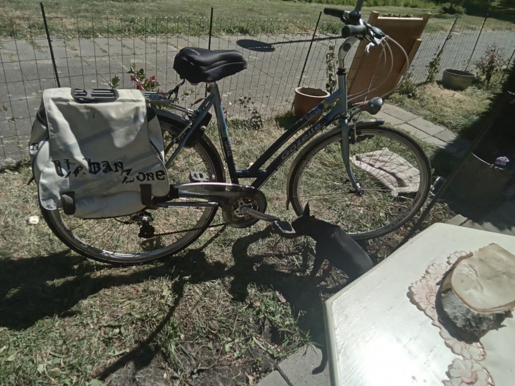 Damesfiets ,blauw, gazelle, Ophalen, Gebruikt, Versnellingen