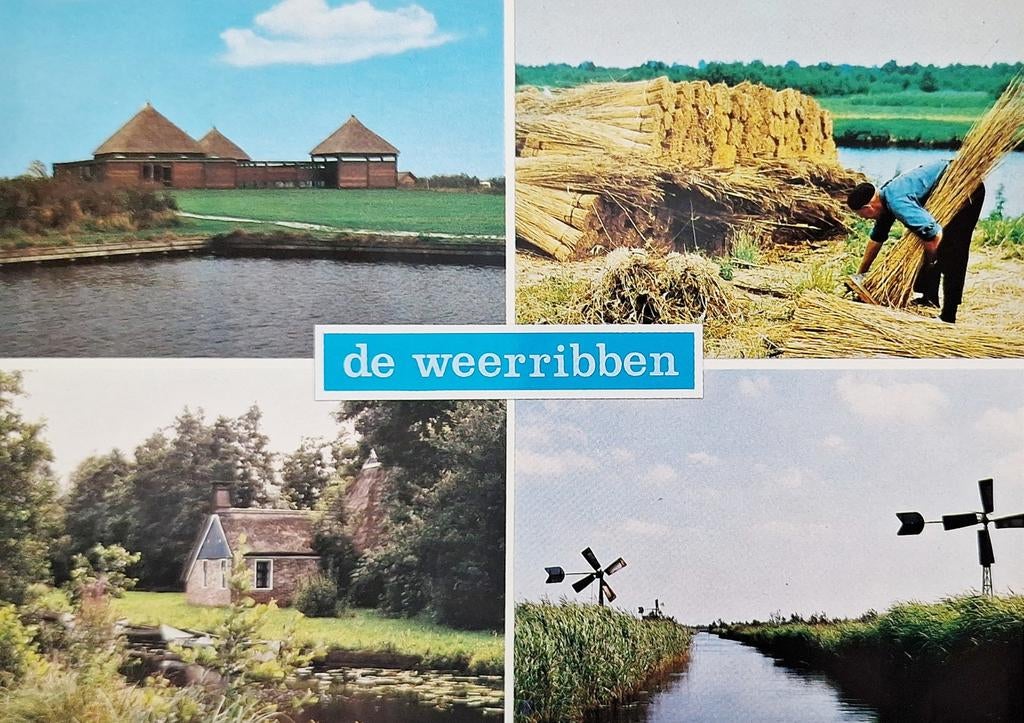 De Weerribben, Ophalen of Verzenden, 1980 tot heden, Ongelopen, Drenthe
