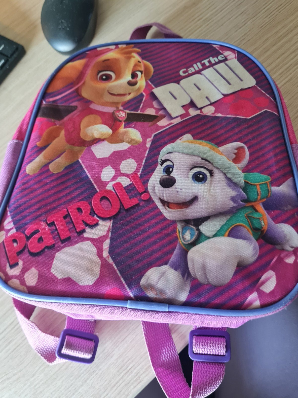 Paw Patrol Rugzak Skye & Everest Roze Kinderrugzak, Ophalen of Verzenden, Gebruikt, Roze, Overige merken