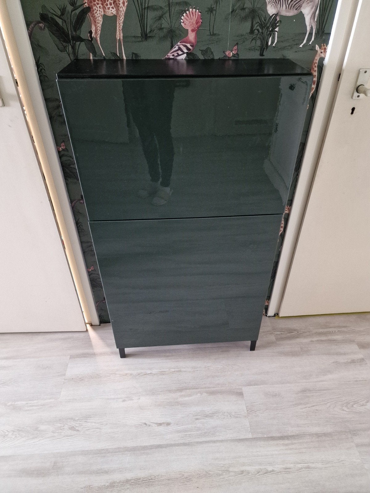 Smal hoogglans groen/bruin kastje met 2 deuren, Ophalen, Zo goed als nieuw