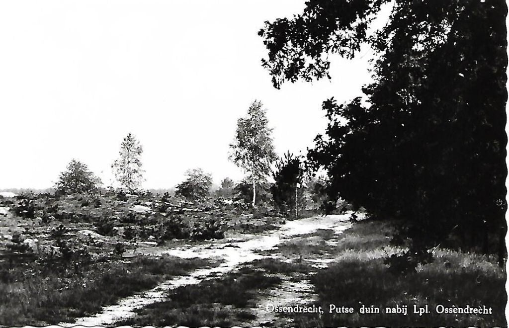 Ossendrecht- -Putse Duin., Verzamelen, Ansichtkaarten | Nederland, Verzenden, 1960 tot 1980, Ongelopen, Noord-Brabant