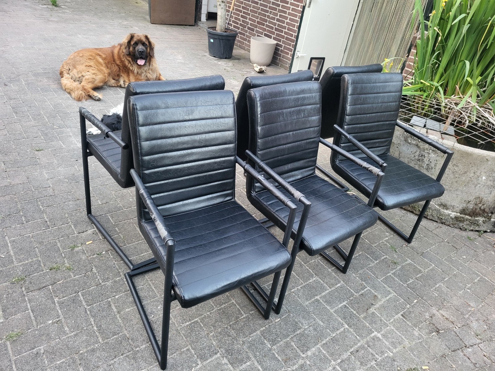 Set van 6 zwarte eetkamerstoelen met armleuningen, Huis en Inrichting, Stoelen, Ophalen, Gebruikt, Zwart, Modern industrieel