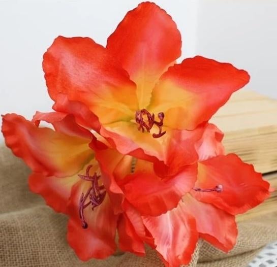 AMARYLLIS - KUNST TAK - 3 KLEUREN, Ophalen of Verzenden, Nieuw