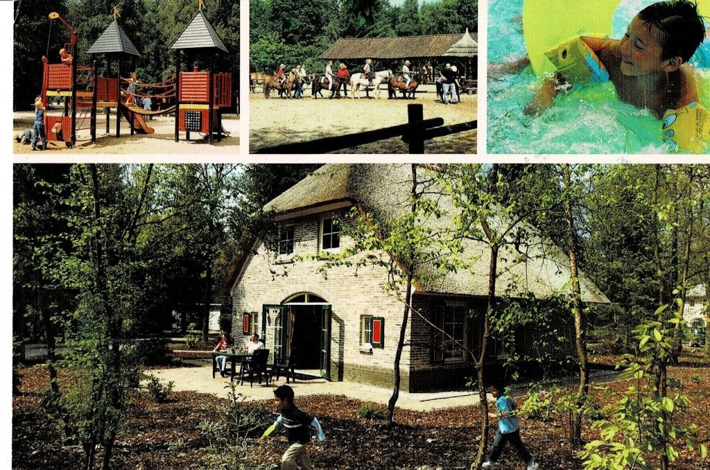 Ees, Landal-Park, Ophalen of Verzenden, Gelopen, Drenthe