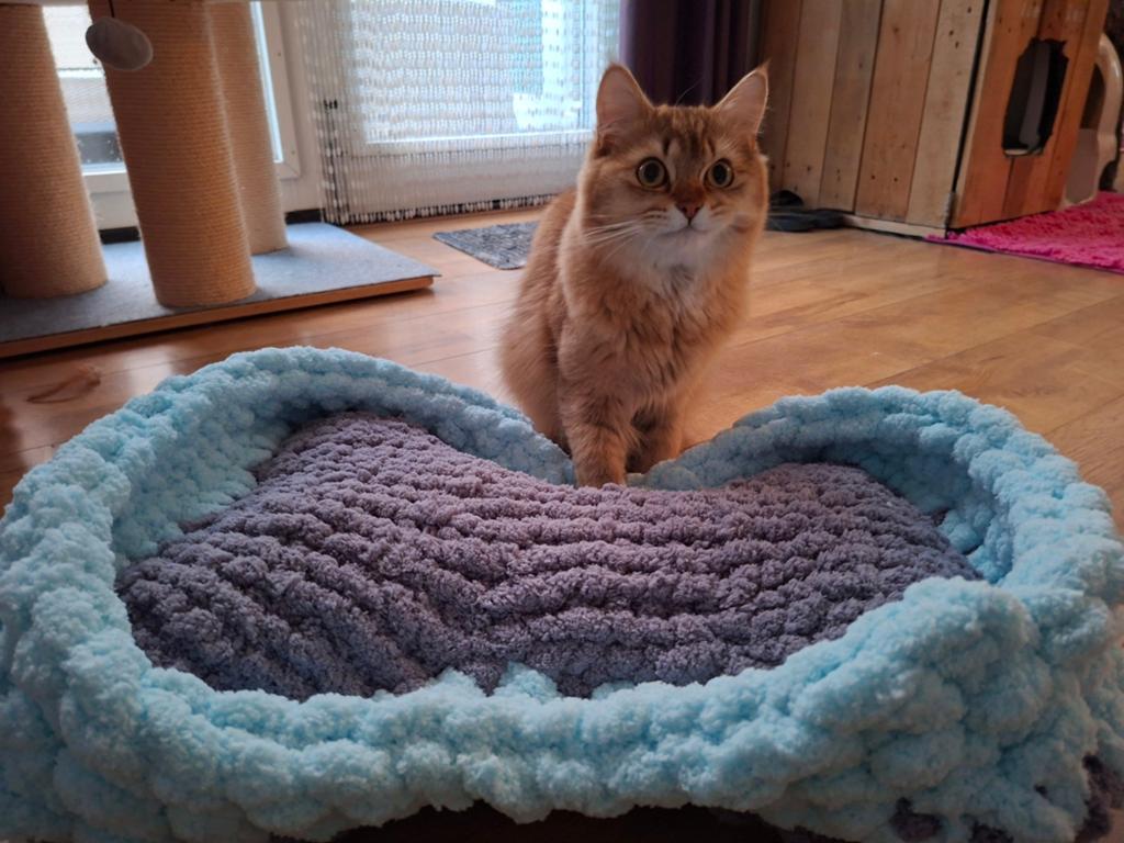 Luxe handgemaakt chenille bedje voor kat of kleine hond, Ophalen of Verzenden, Nieuw