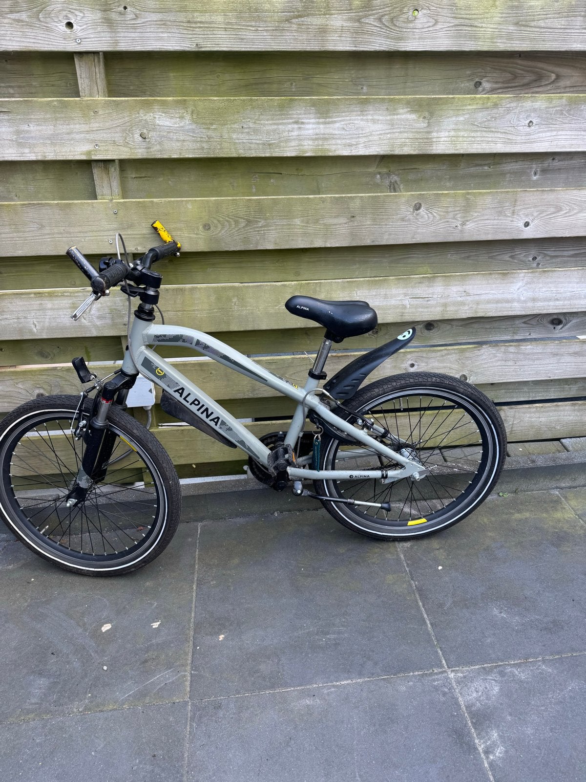 Alpina Trail 22 inch jongensfiets Desert Grey, Ophalen, Terugtraprem, 22 inch, Gebruikt