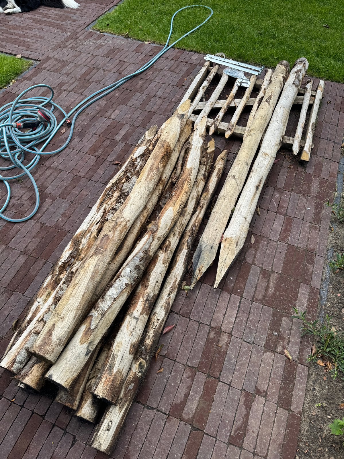 Kastanje palen en hek, Ophalen, 100 tot 200 cm, Nieuw, Hout