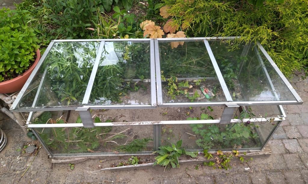 Kweekbak van glas, koude bak, kweek kastje van glas, Tuin en Terras, Ophalen, Glas, Aluminium, Kweekkas