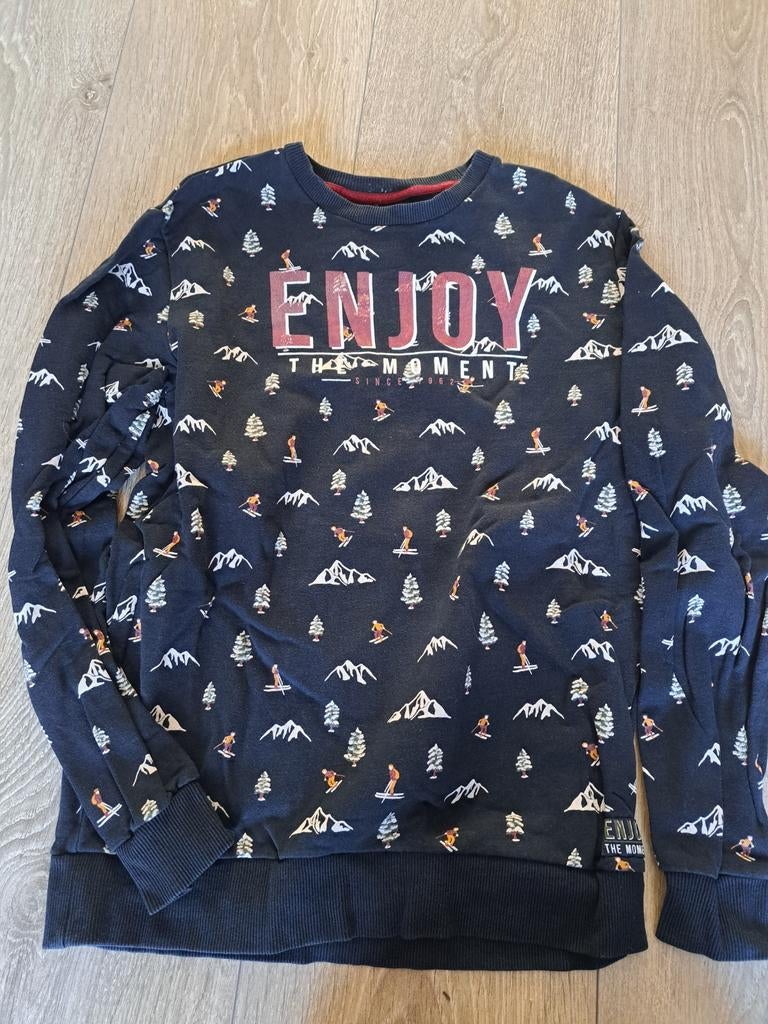 WE trui maat 170/176, Ophalen of Verzenden, Zo goed als nieuw, Jongen, Trui of Vest