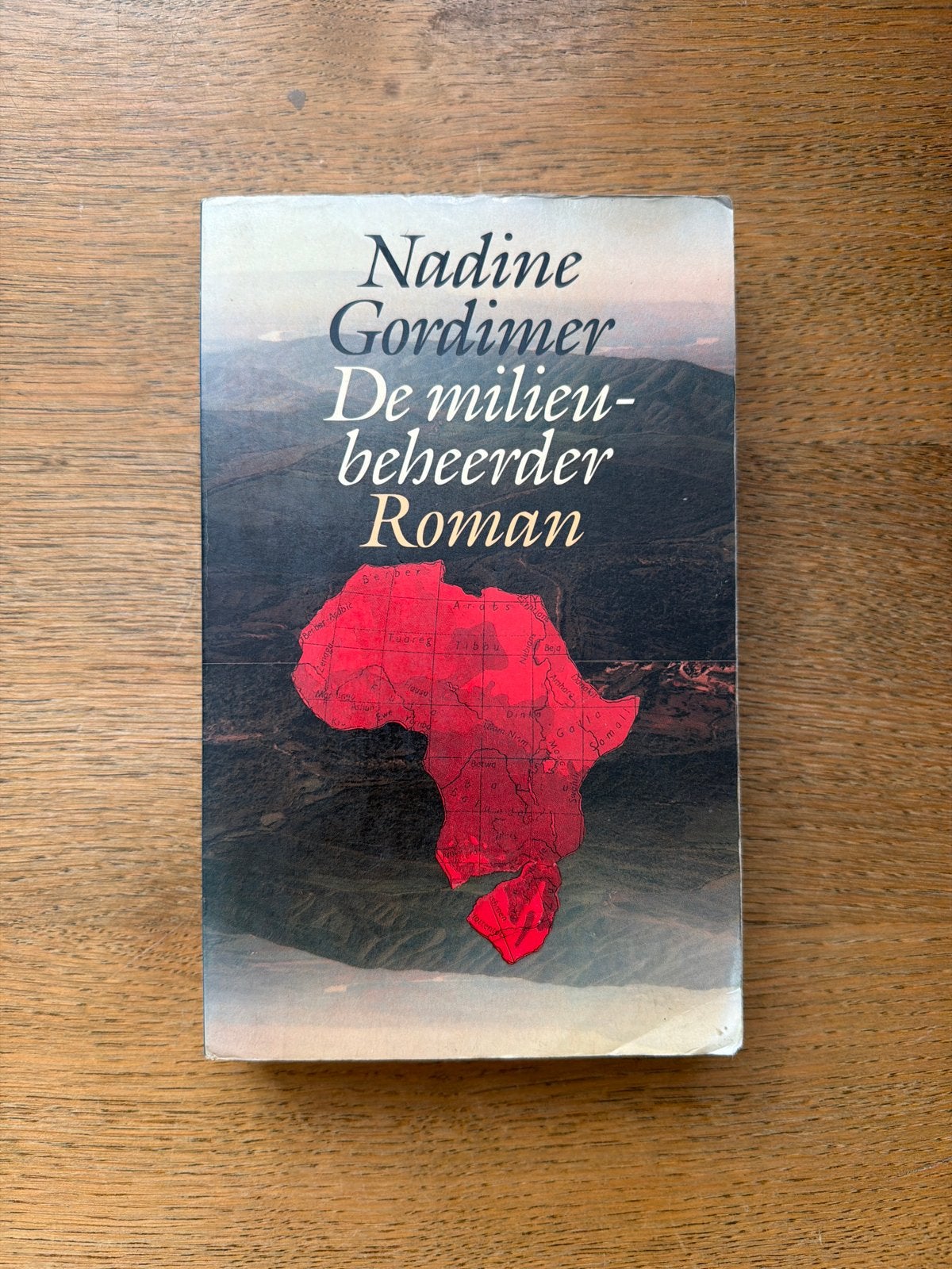 Nadine Gordimer - De milieubeheerder Roman, Ophalen of Verzenden, Gelezen, Wereld overig