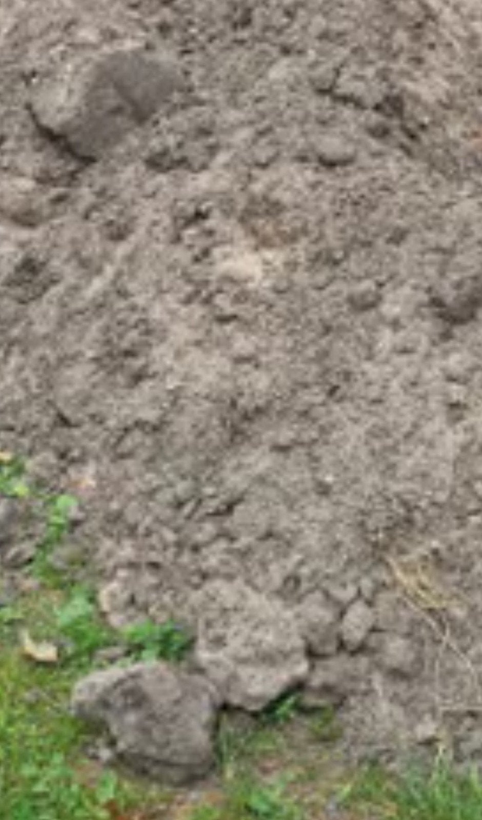 Gratis Zwarte grond / Opvulzand voor tuin of trampoline, Ophalen, Overige typen