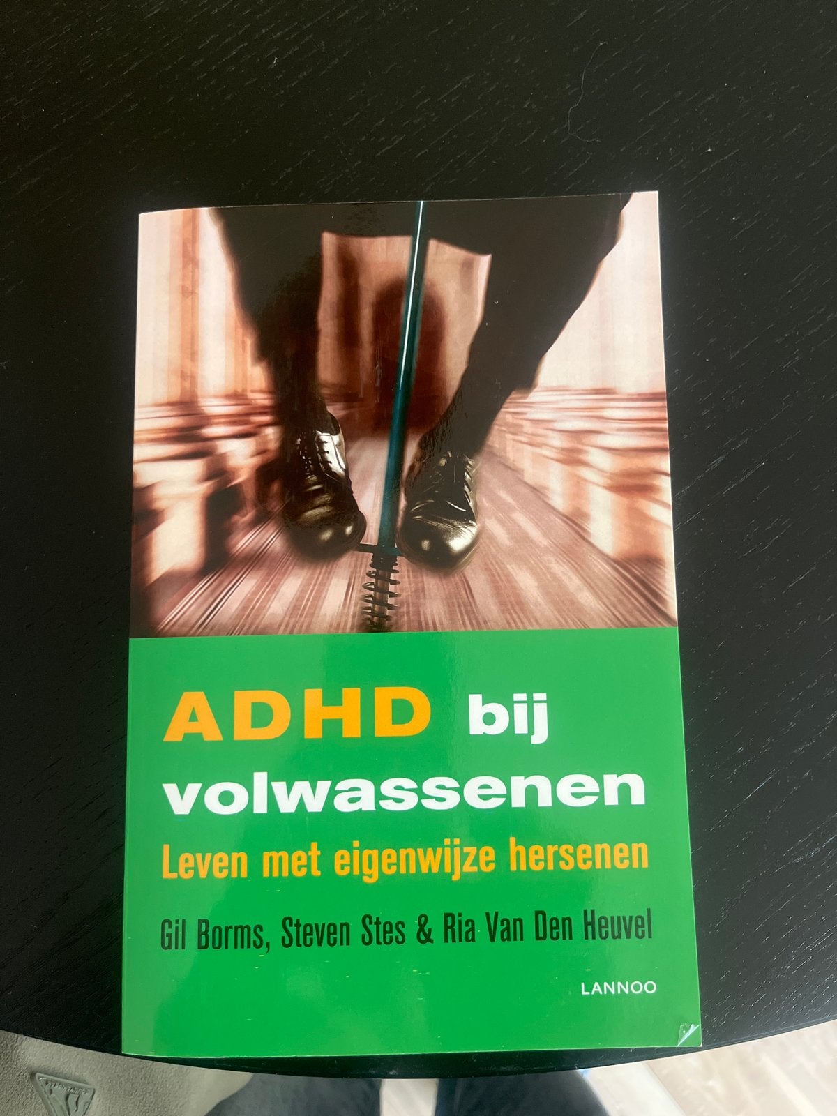 ADHD bij volwassenen: Leven met eigenwijze hersenen, Boeken, Ophalen of Verzenden, Zo goed als nieuw, Klinische psychologie