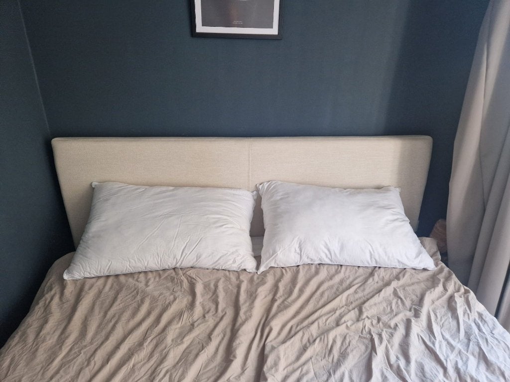 Twee grote hotelkussens Valk at Home, Ophalen, Overige maten, Wit, Overige materialen