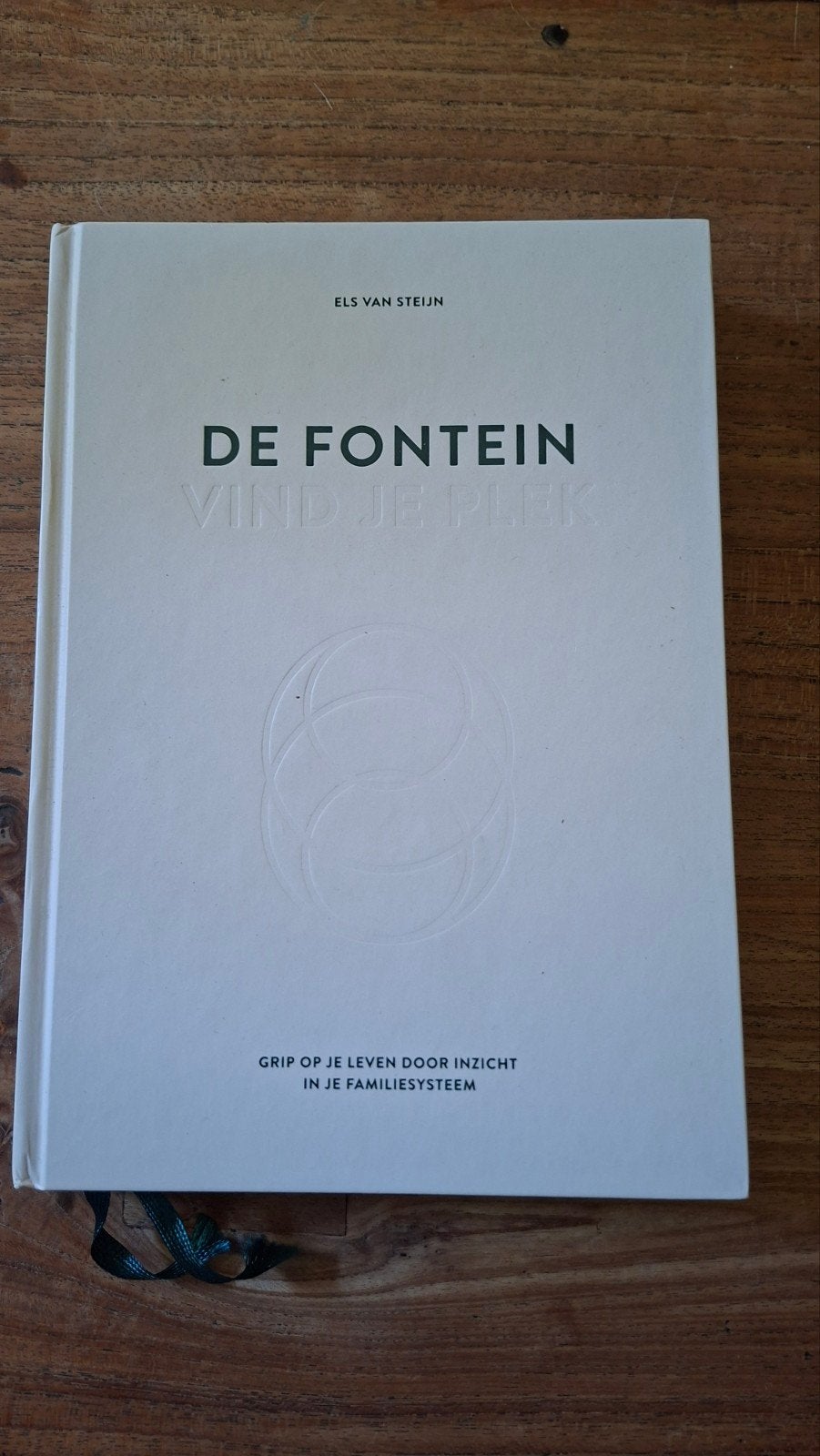 De Fontein Els van Steijn nieuw, Boeken, Ophalen of Verzenden, Els van Steijn, Persoonlijkheidsleer, Nieuw