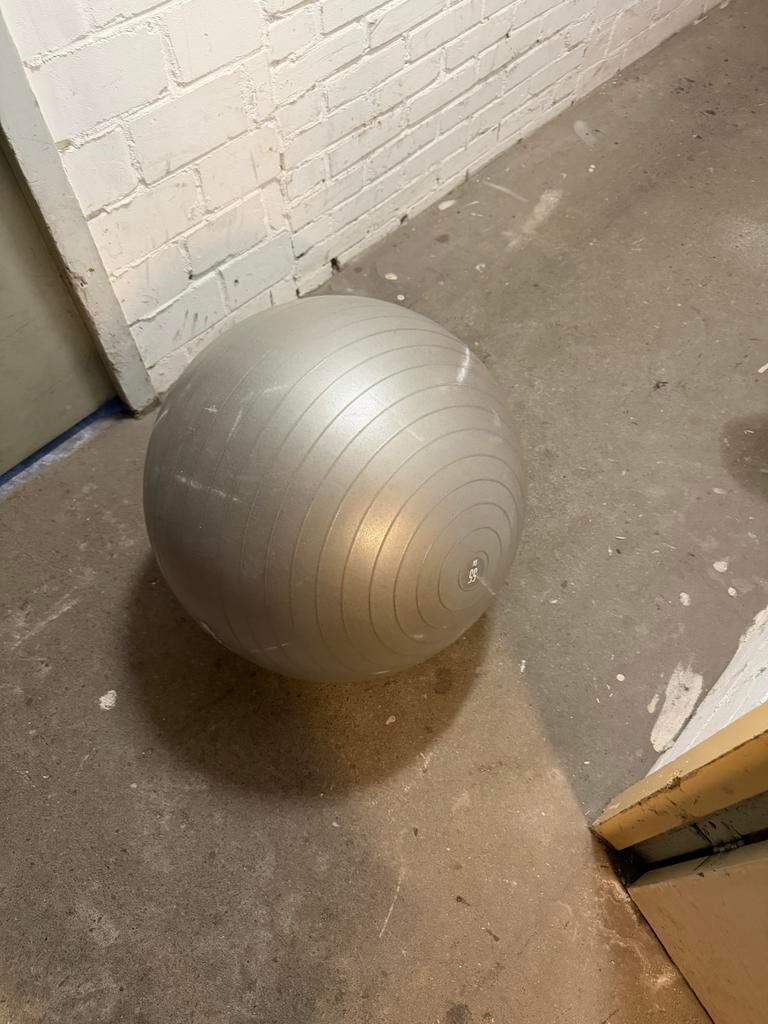 Fitnessbal / Gymbal 55 cm - Grijs, Sport en Fitness, Fitnessmaterialen, Ophalen of Verzenden, Gebruikt, Buik, Fitnessbal