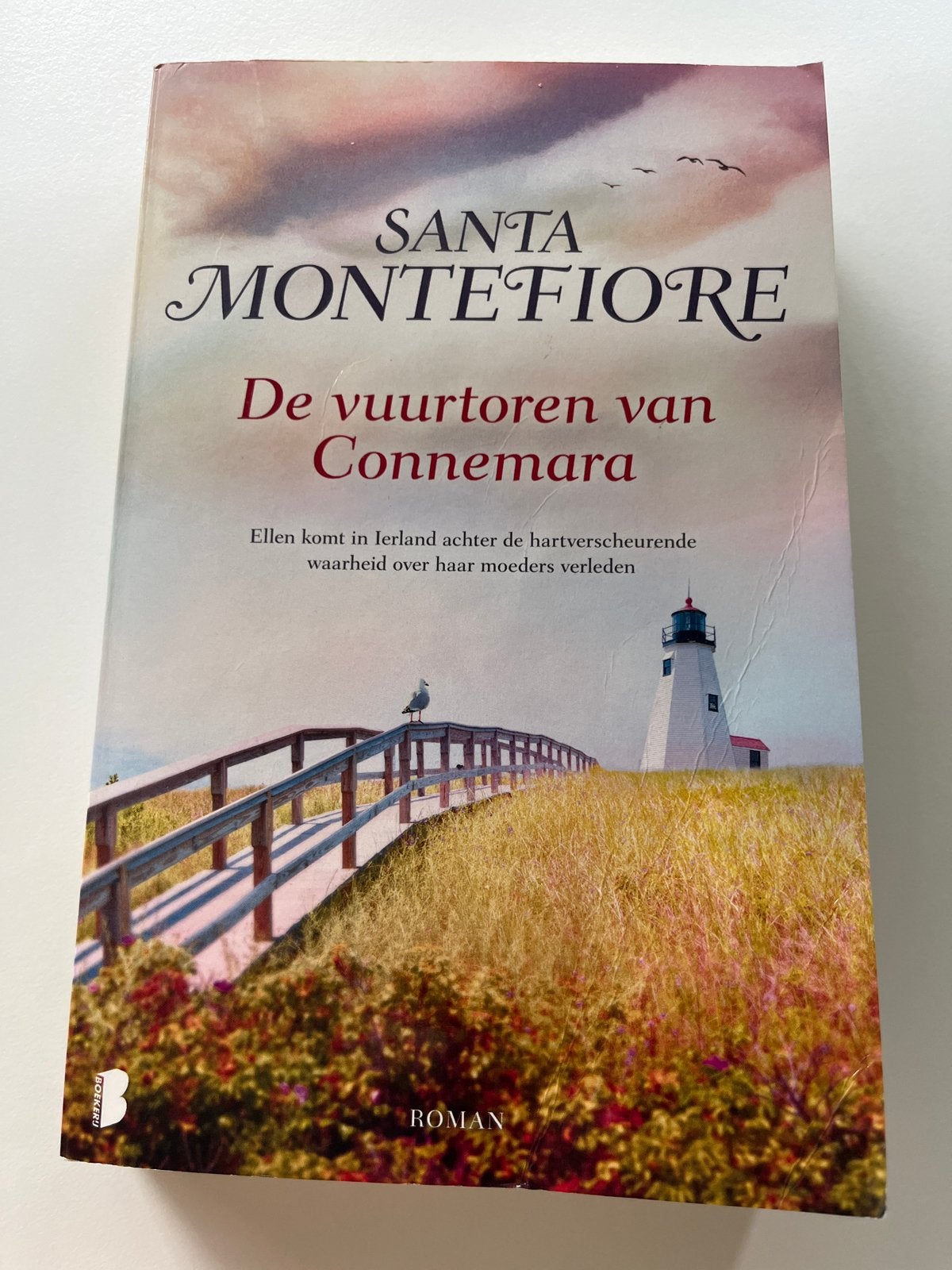 Boek: De Vuurtoren van Connemara - Santa Montefiore, Ophalen of Verzenden, Gelezen, Nederland