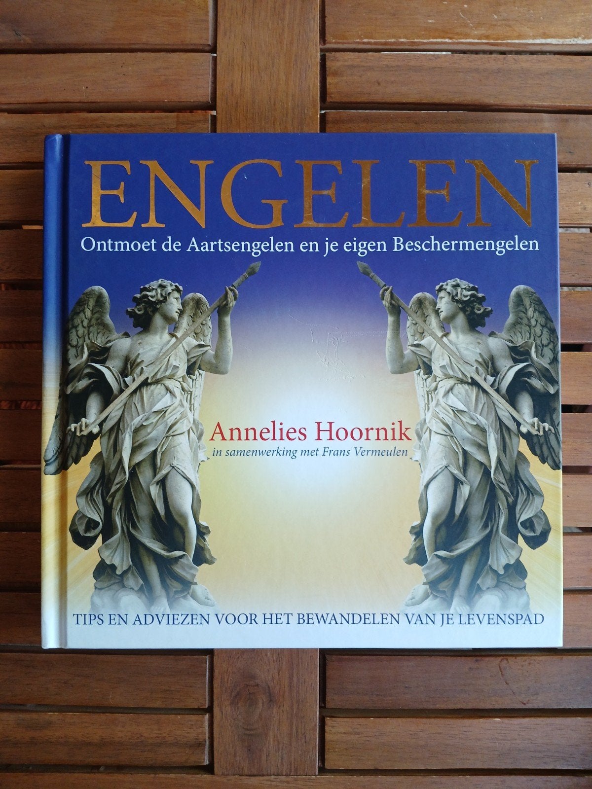 Engelen: Ontmoet de Aartsengelen A.Hoornik NIEUW VASTE PRIJS, Spiritualiteit algemeen, Nieuw, Ophalen of Verzenden, Annelies Hoornik, Frans Vermeulen