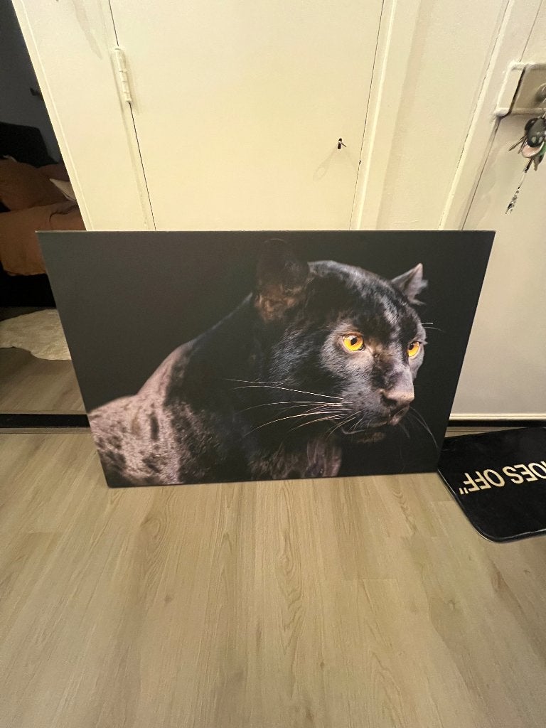 Canvas schilderij, Ophalen, Zo goed als nieuw, Schilderij, 100 tot 125 cm