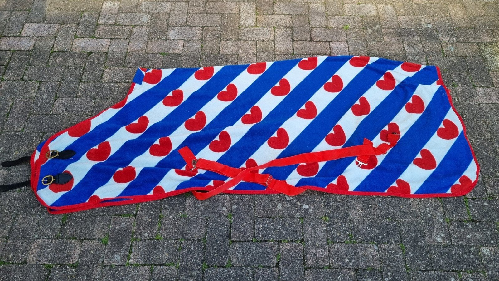 Friese vlag fleecedeken, Ophalen of Verzenden