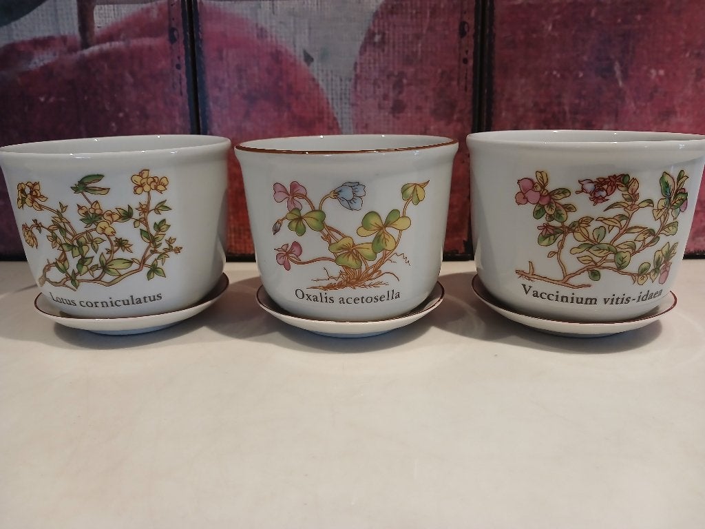 Vintage bloempotjes porselein botanica met schotel 3stuks, Overige materialen, Rond, Binnen, Ophalen of Verzenden