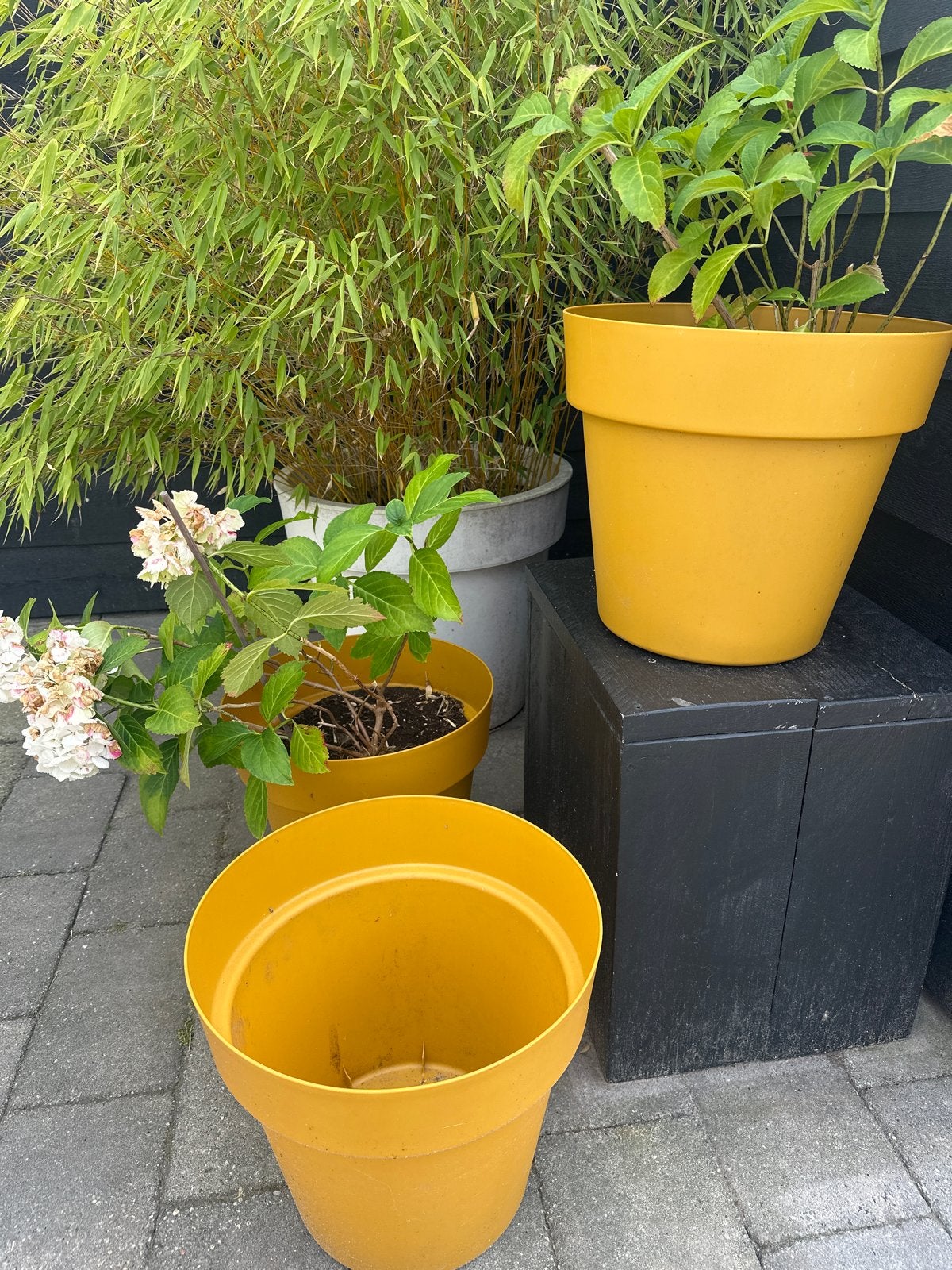 3 okergele potten groot formaat, Ophalen, Kunststof, Gebruikt, 40 cm of meer