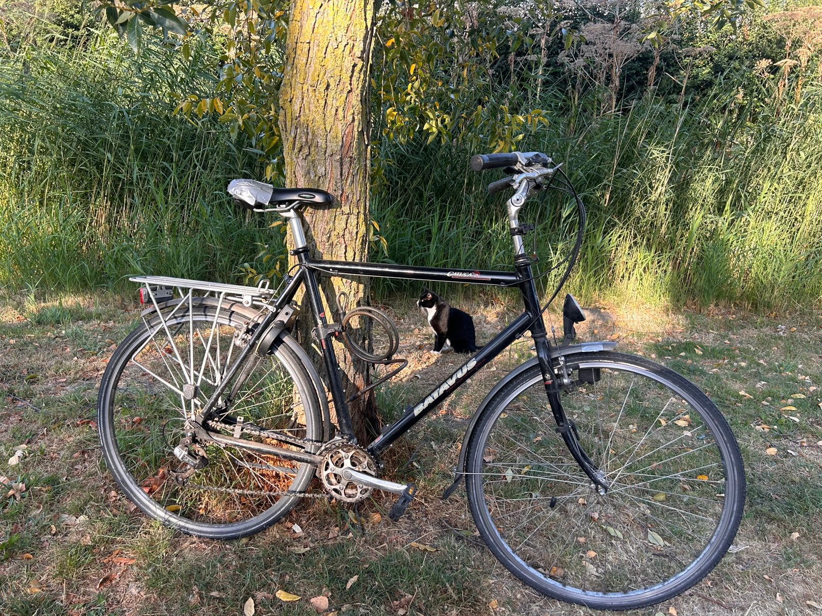 Diverse fietsen, budget fietsen/mountain bikes, Ophalen, Zo goed als nieuw, Minder dan 10 versnellingen, Overige merken