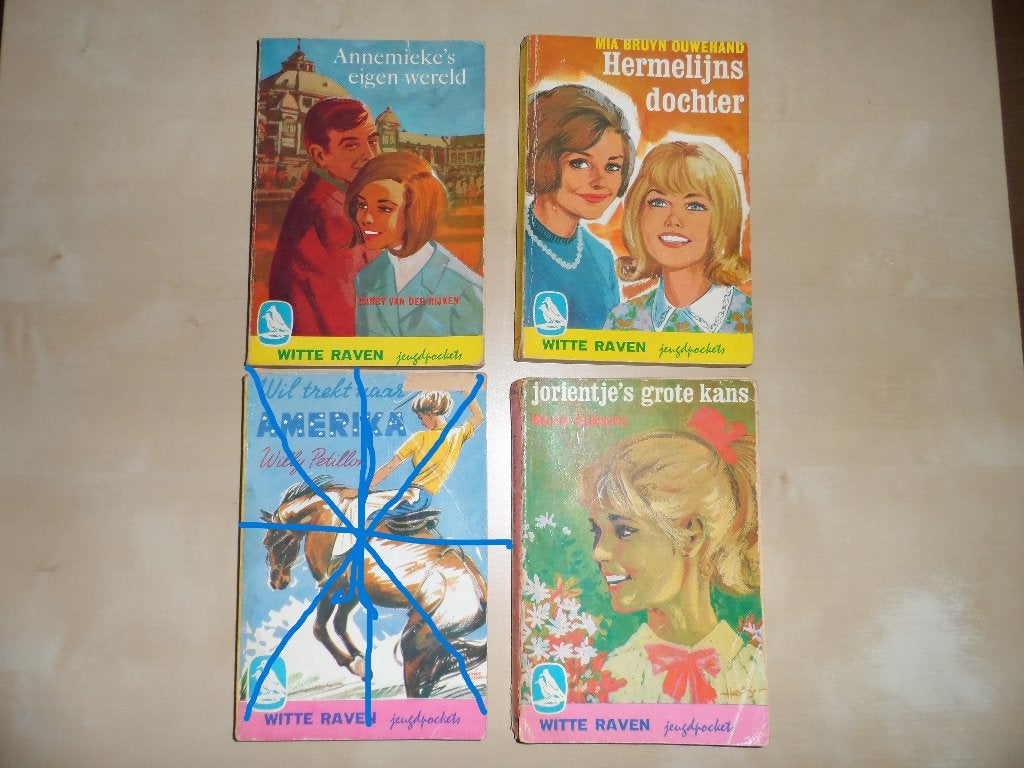 WITTE RAVEN POCKETS, Boeken, Ophalen of Verzenden, Gelezen