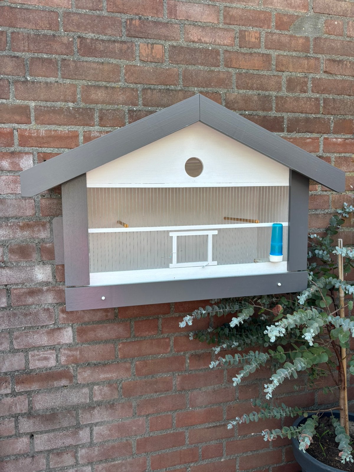 Grote vogelkooi buiten kooi, Dieren en Toebehoren, Vogels | Hokken en Kooien, Ophalen, Zo goed als nieuw, Hout, Vogelkooi