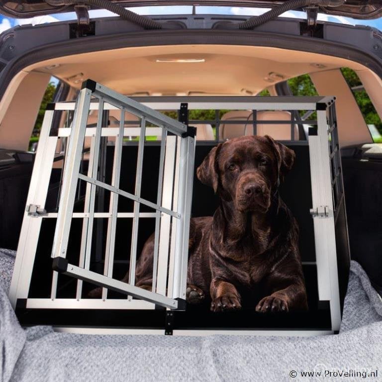 Online Veiling: Hondentransportbox, Nieuw