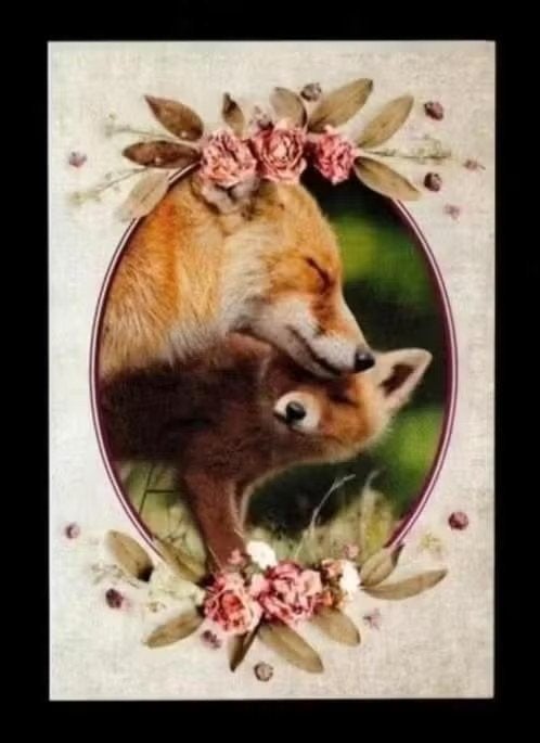Vos Vulpes Vulpes Vos met Vossenwelp., Ophalen of Verzenden, 1980 tot heden, Ongelopen, Wild dier