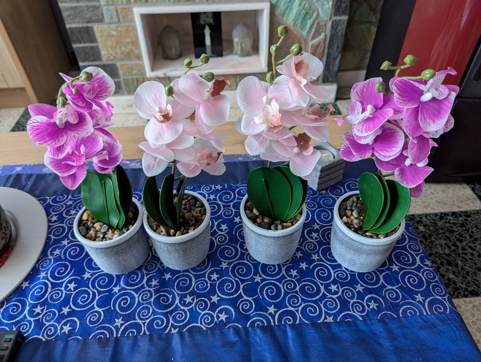 Mooie orchideeën 4 stuks samen weg, Ophalen, Zo goed als nieuw