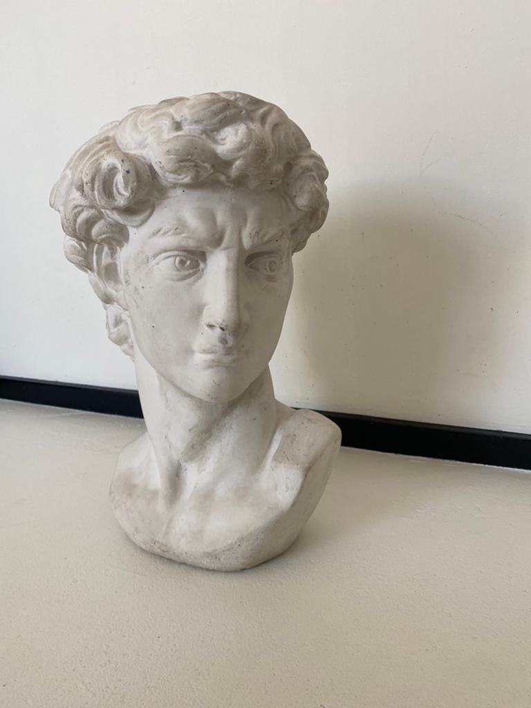 Beeld David van Michelangelo, Tuin en Terras, Ophalen, Gebruikt, Steen