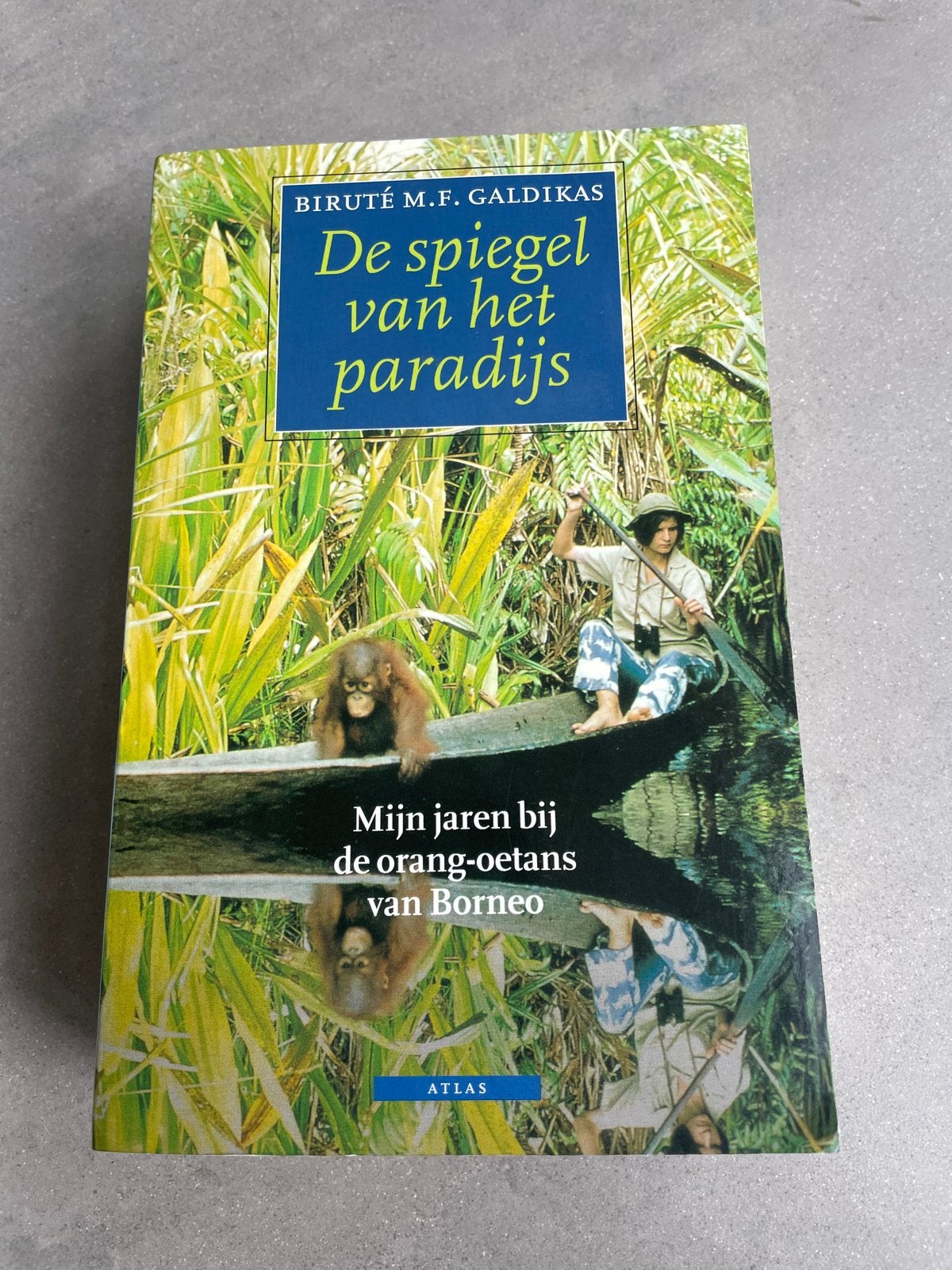 De spiegel van het paradijs - Biruté M.F. Galdikas, Ophalen of Verzenden, Gelezen, Overige onderwerpen