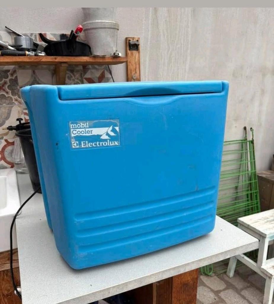 Electrolux auto camper camping caravan koelbox op gas 12v 22, Ophalen of Verzenden, Elektrisch