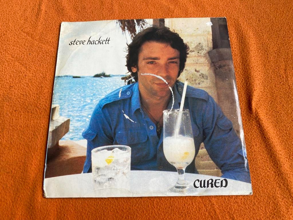 Steve Hackett (Genesis), Ophalen of Verzenden, 12 inch