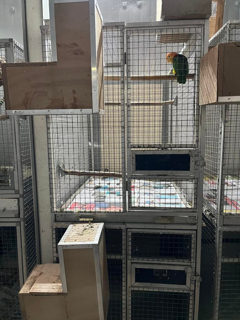 Kweekkooi aluminium 2 stuks, Dieren en Toebehoren, Vogels | Hokken en Kooien, Ophalen of Verzenden, Metaal, Vogelkooi