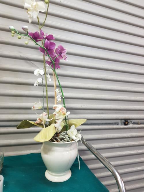 kunst plant orchideeen wit en paars, Ophalen of Verzenden, 'T Olde Gre-j, Info@toldegrej.nl, Endepoelstraat 20f Didam