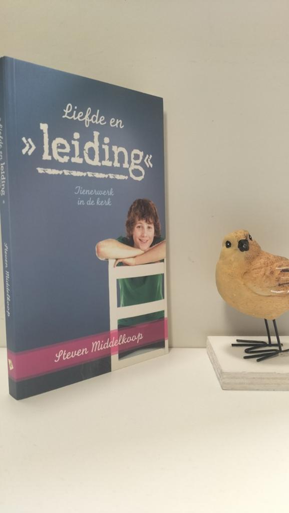 Middelkoop, Steven; Liefde en leiding, Ophalen of Verzenden, Gelezen, Christendom | Protestants