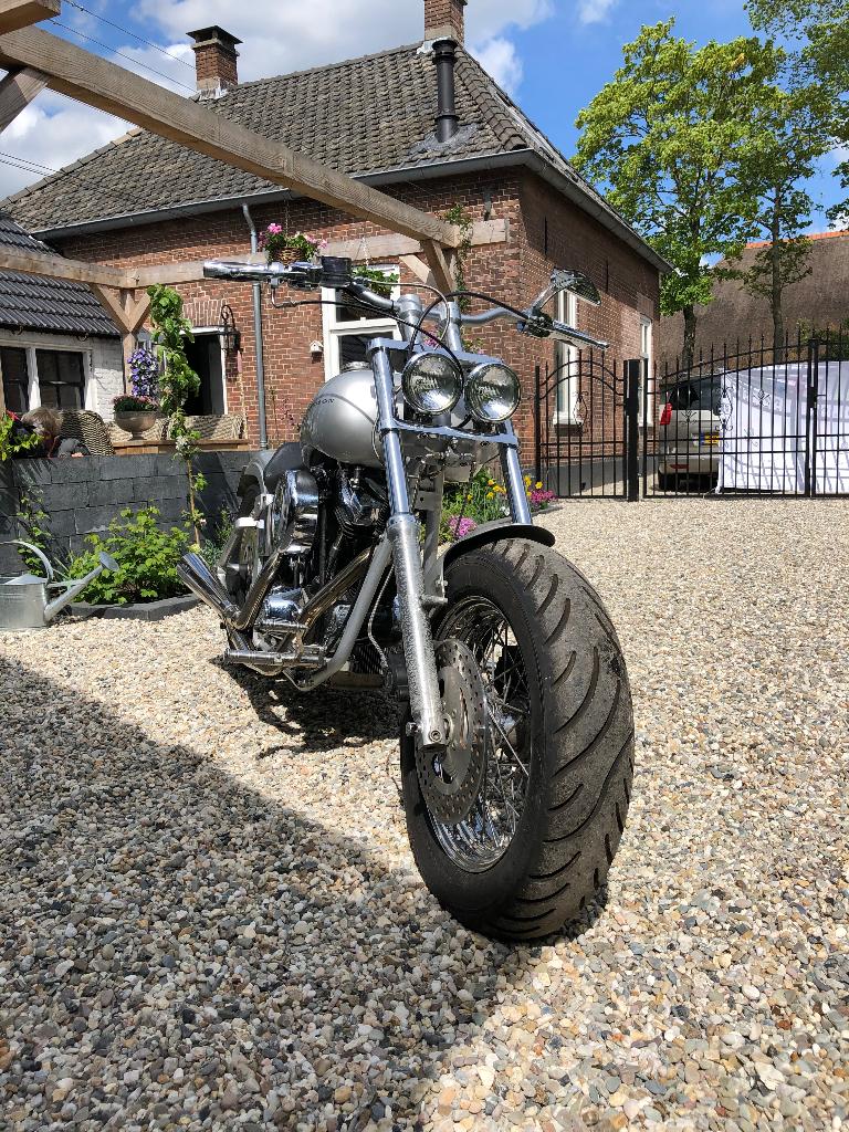 Harley Davidson softail    (eigenbouw) 2001, Motoren, Motoren | Harley-Davidson, Particulier, Chopper, meer dan 35 kW, 2 cilinders