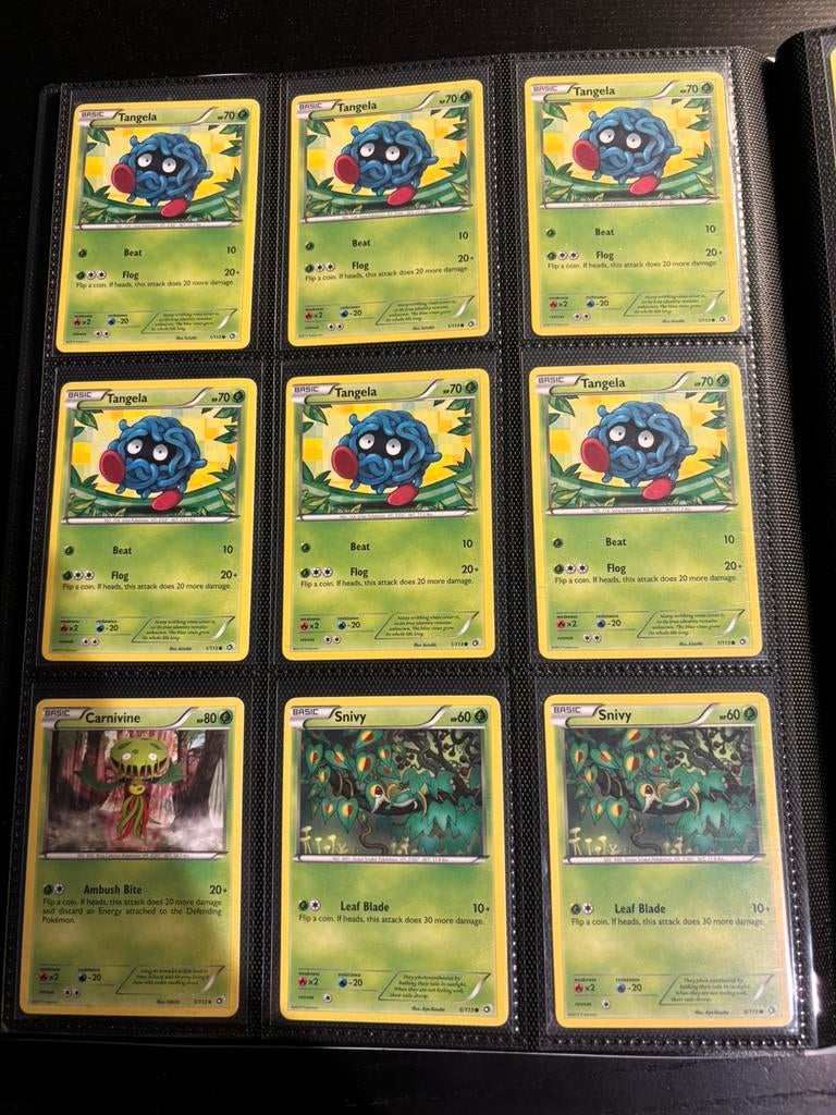 Pokémon Kaarten Black White Legendary Treasures, Ophalen of Verzenden, Zo goed als nieuw, Meerdere kaarten