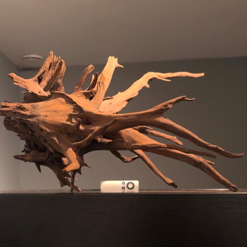 Groot stuk Kienhout / Driftwood / Spiderwood, Hout Decoratie, Dieren en Toebehoren, Ophalen of Verzenden, Zo goed als nieuw, Plant(en), Steen of Hout