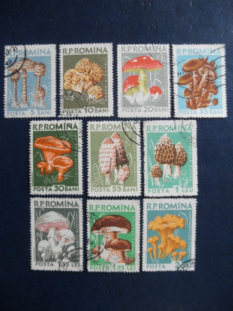 Postzegels Roemenië 1958 paddenstoelen - cw. € 3,00., Ophalen of Verzenden, Overige landen, Gestempeld