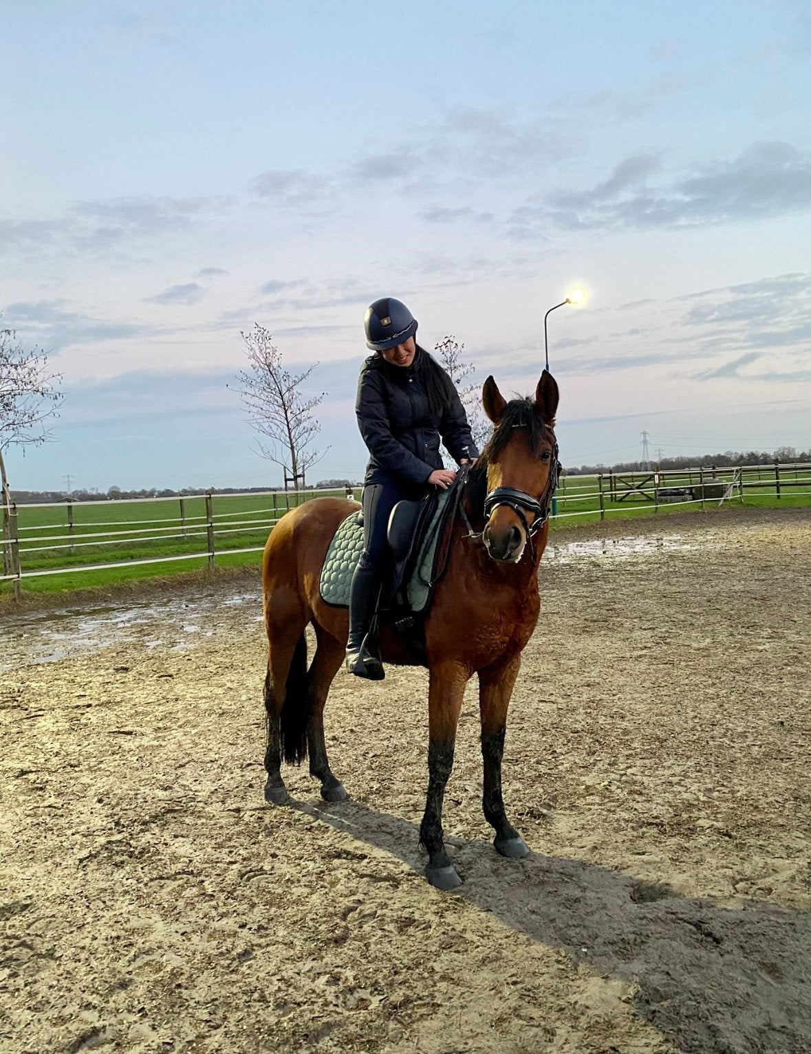 Bijrijder/verzorger aangeboden, bijrijdpony/paard gezocht!, Ophalen, Zo goed als nieuw
