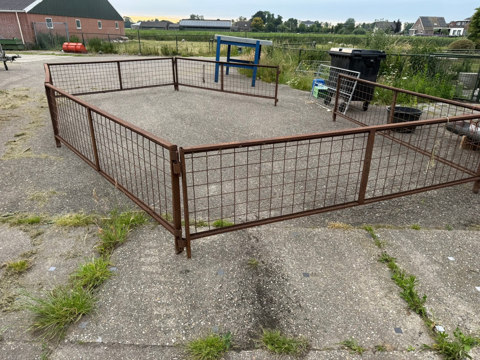 Schapen vanghok, Dieren en Toebehoren, Schapen, Geiten en Varkens, Meerdere dieren, Schaap